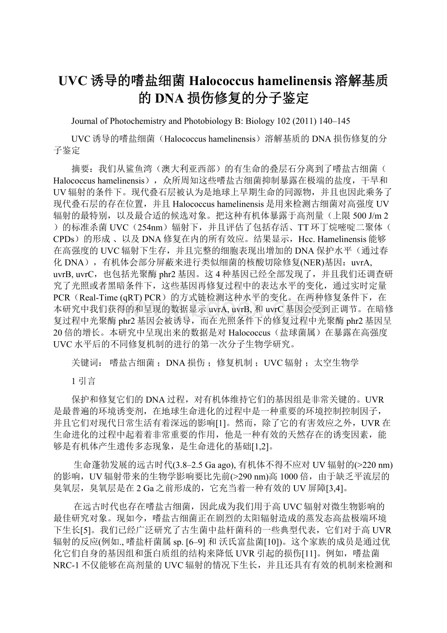 UVC诱导的嗜盐细菌Halococcus hamelinensis溶解基质的DNA损伤修复的分子鉴定.docx