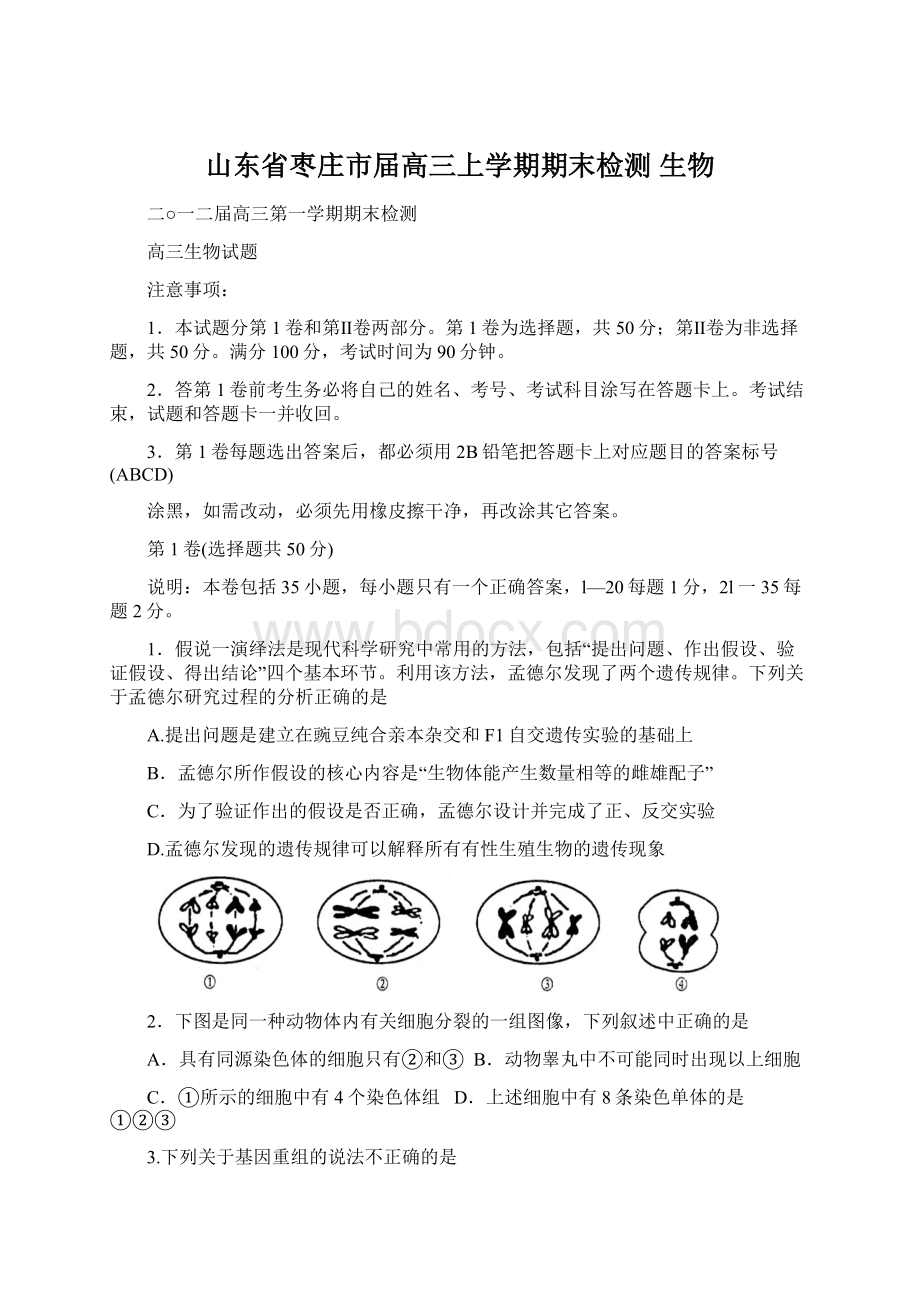 山东省枣庄市届高三上学期期末检测 生物.docx_第1页