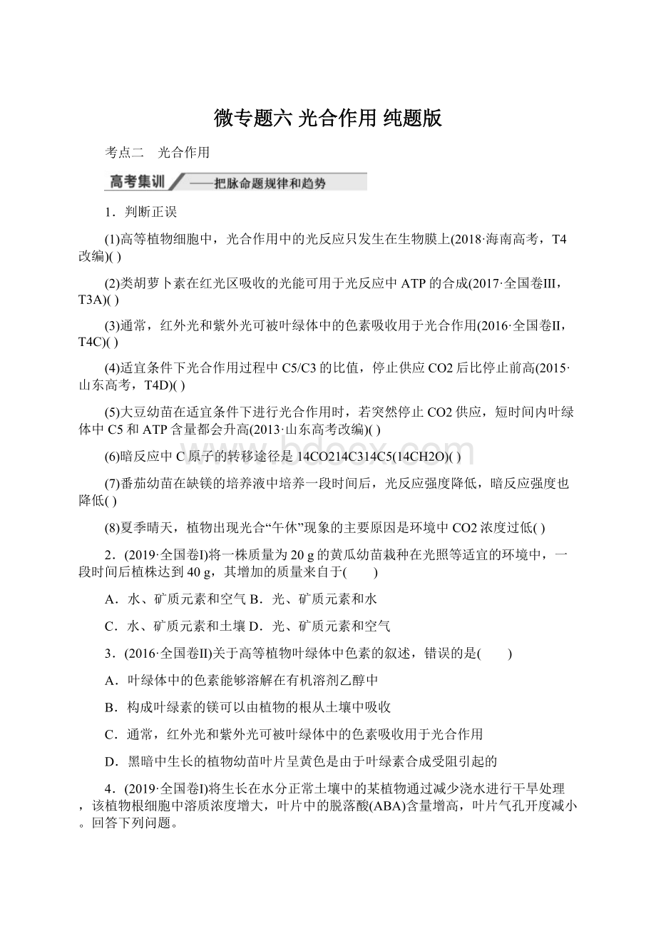 微专题六 光合作用 纯题版.docx