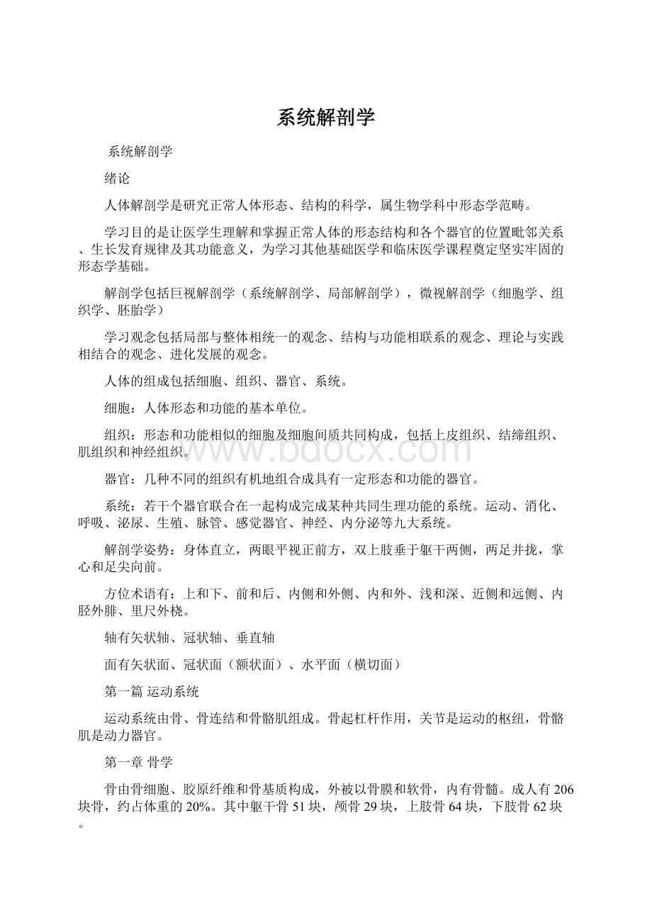 系统解剖学Word文件下载.docx