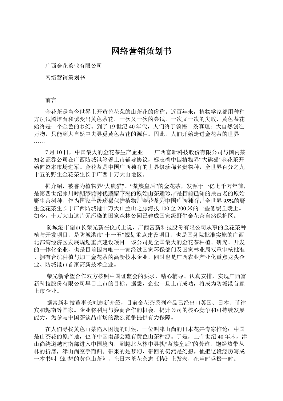 网络营销策划书Word格式文档下载.docx