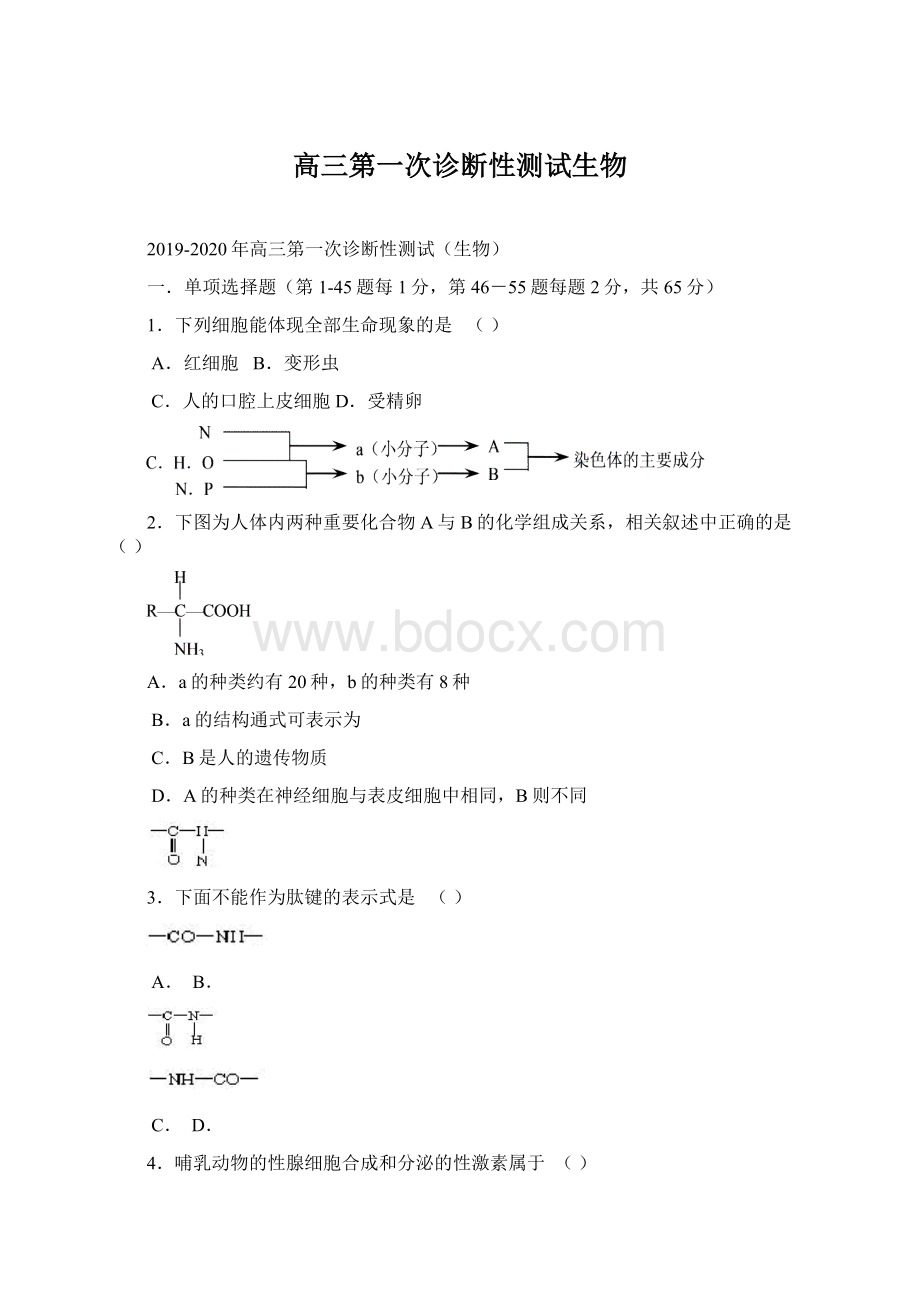 高三第一次诊断性测试生物Word格式文档下载.docx_第1页