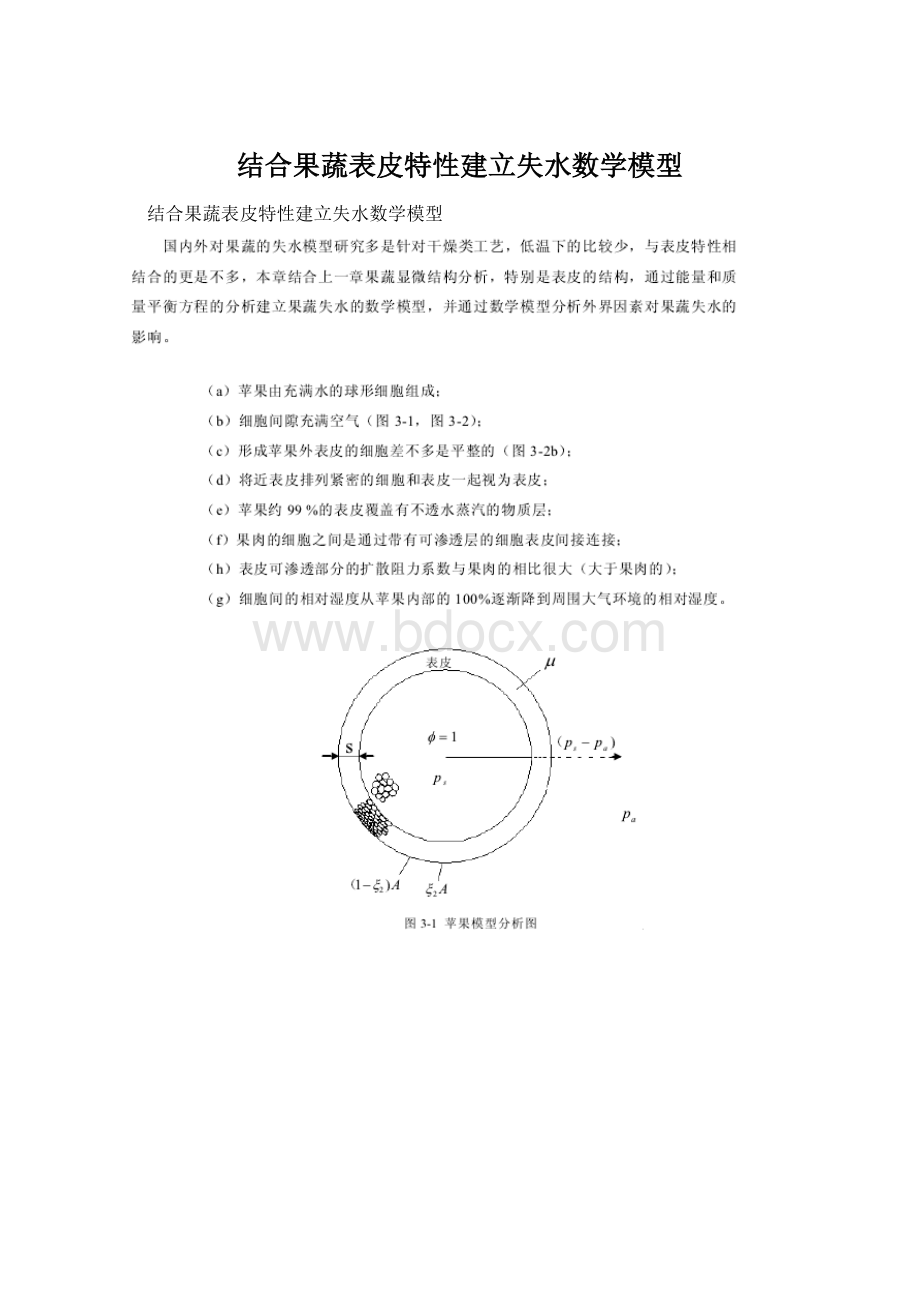 结合果蔬表皮特性建立失水数学模型.docx