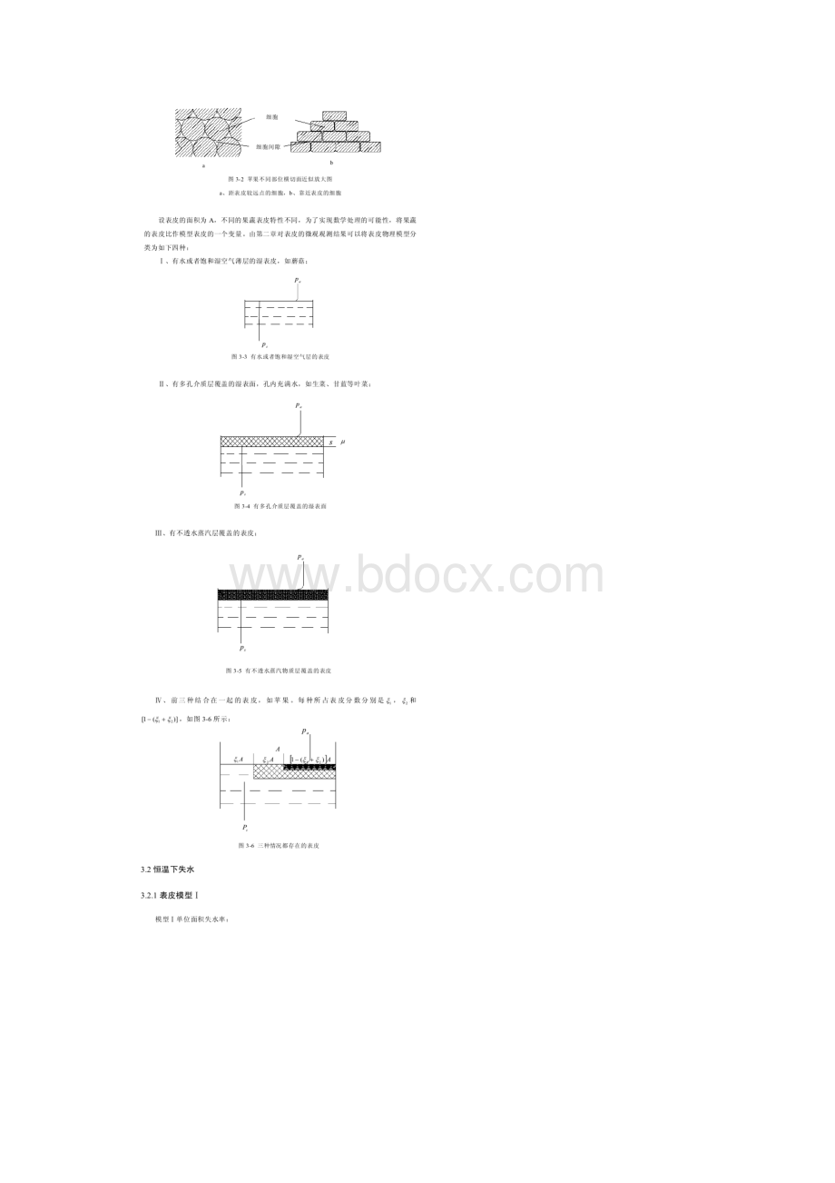 结合果蔬表皮特性建立失水数学模型.docx_第2页