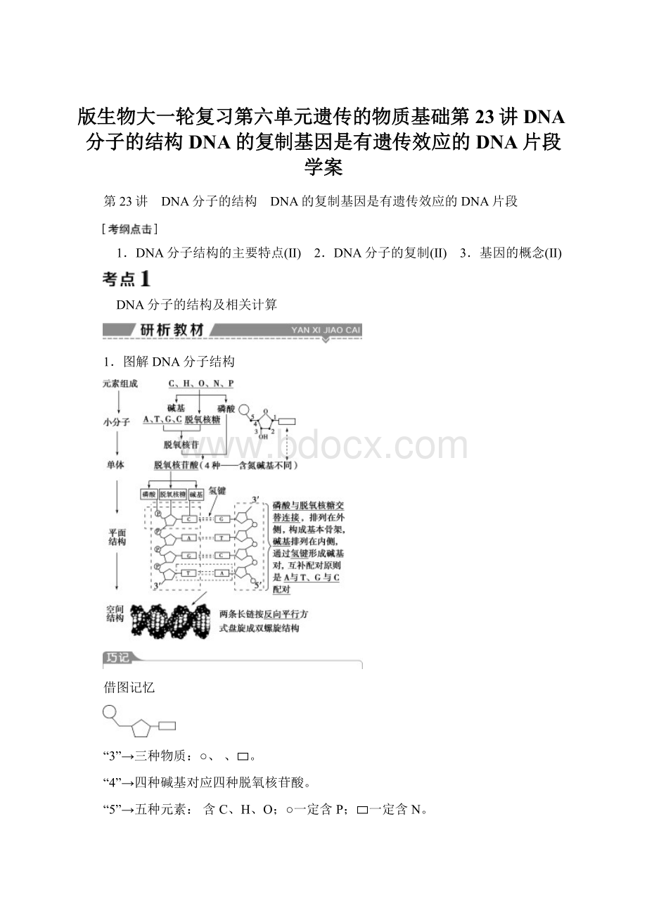 版生物大一轮复习第六单元遗传的物质基础第23讲DNA分子的结构DNA的复制基因是有遗传效应的DNA片段学案.docx