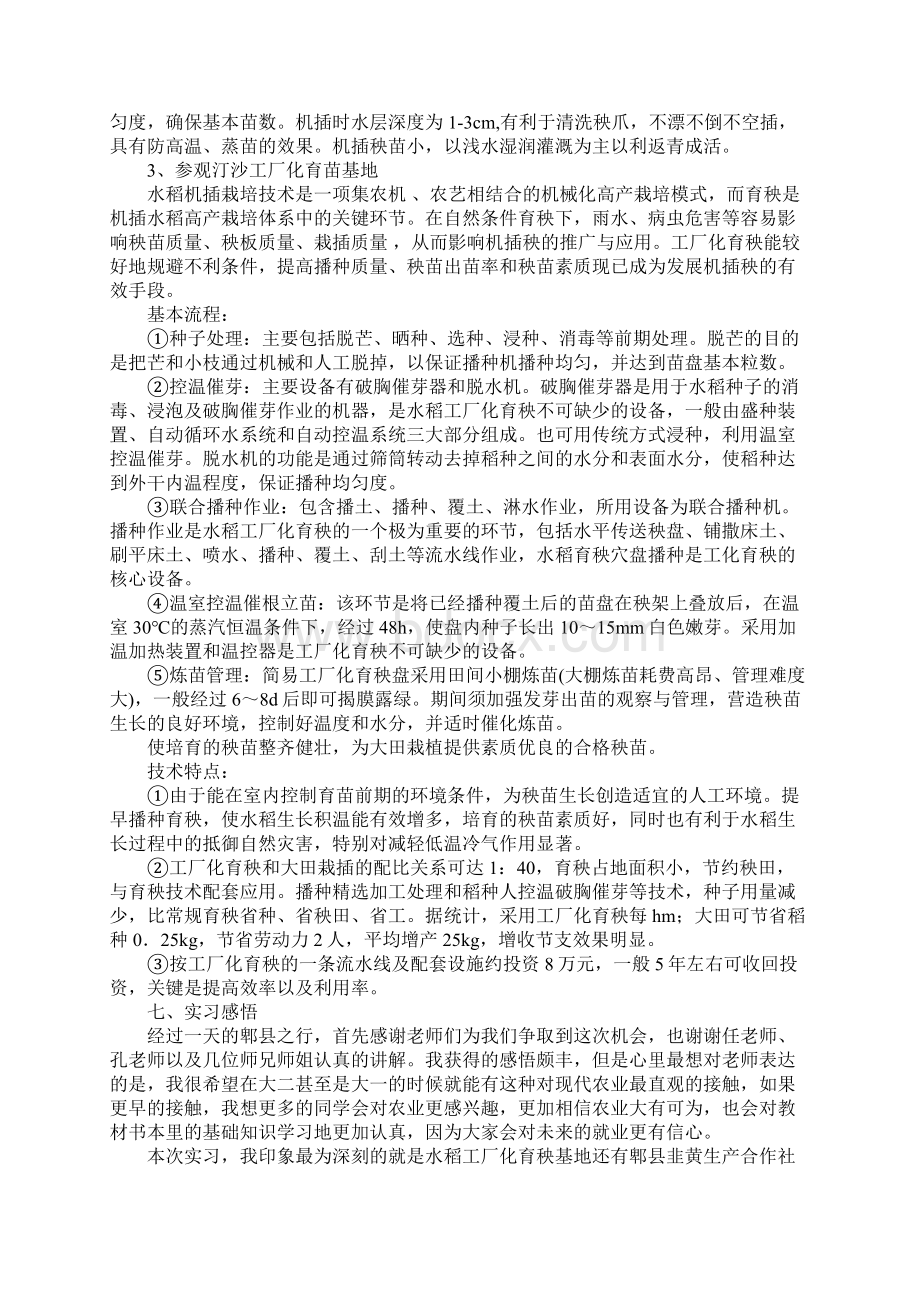 水稻实习报告.docx_第3页