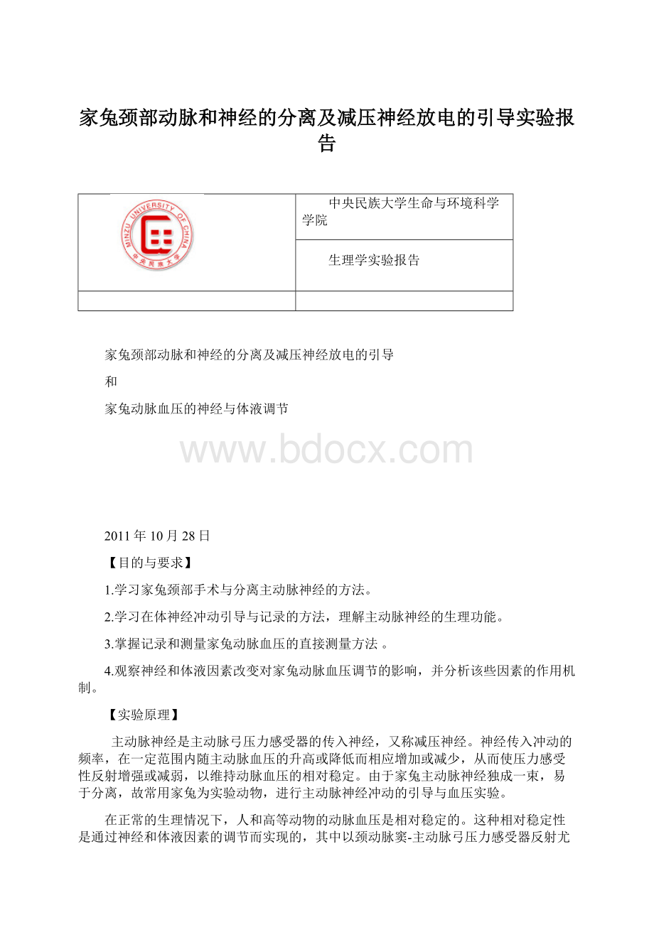 家兔颈部动脉和神经的分离及减压神经放电的引导实验报告.docx