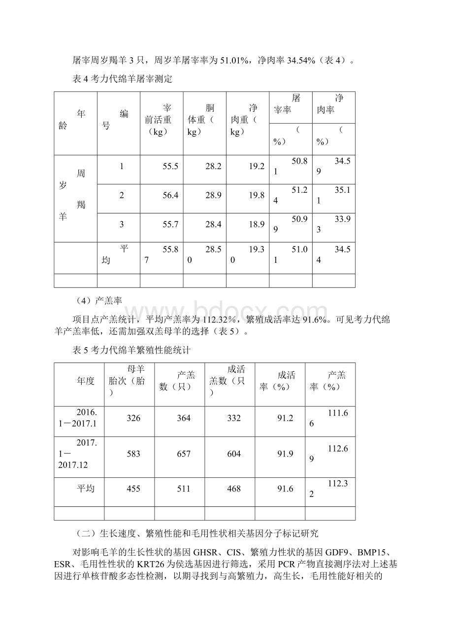 技术报告考力代绵羊选育与种质资源开发利用.docx_第3页