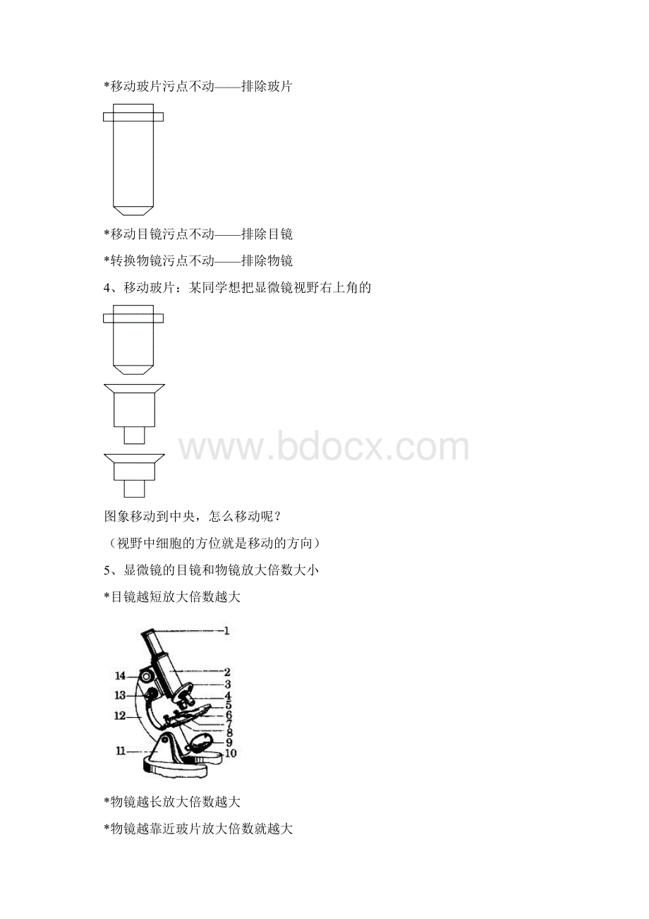 生物必修一 人教版 复习题.docx_第2页