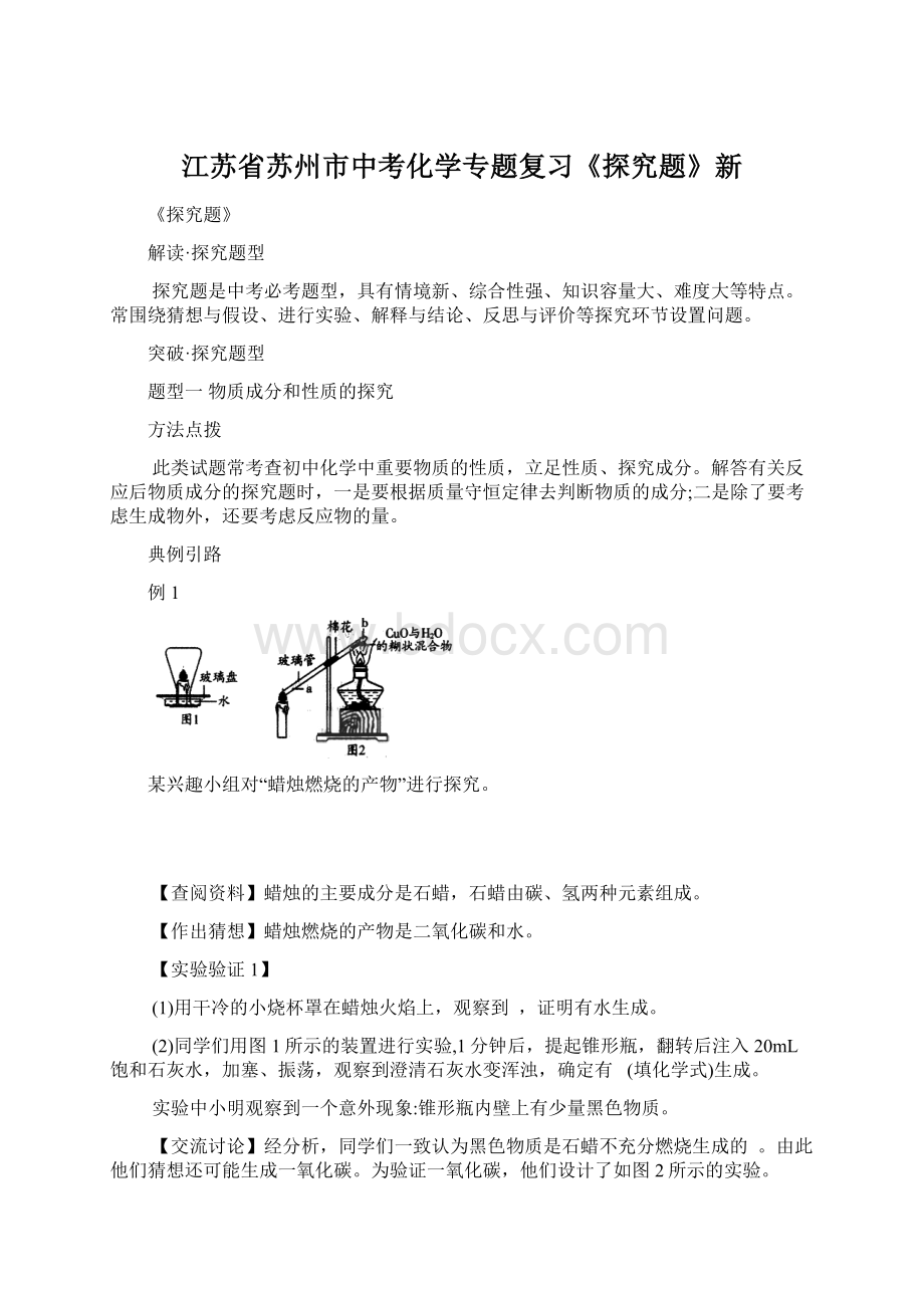 江苏省苏州市中考化学专题复习《探究题》新.docx