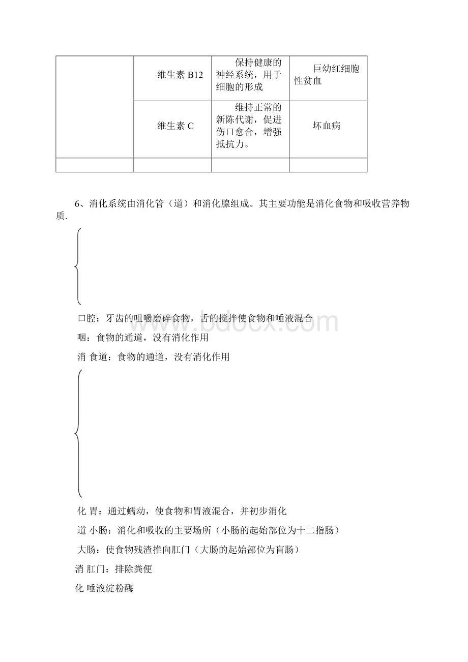 北师大版七年级生物下册第814章知识总结.docx_第3页