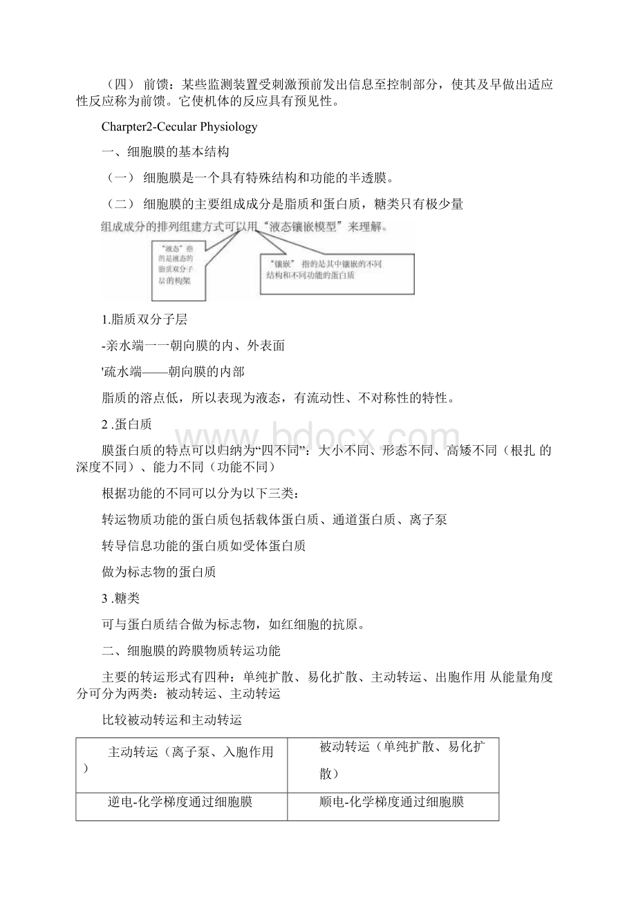 生理学知识点.docx_第3页