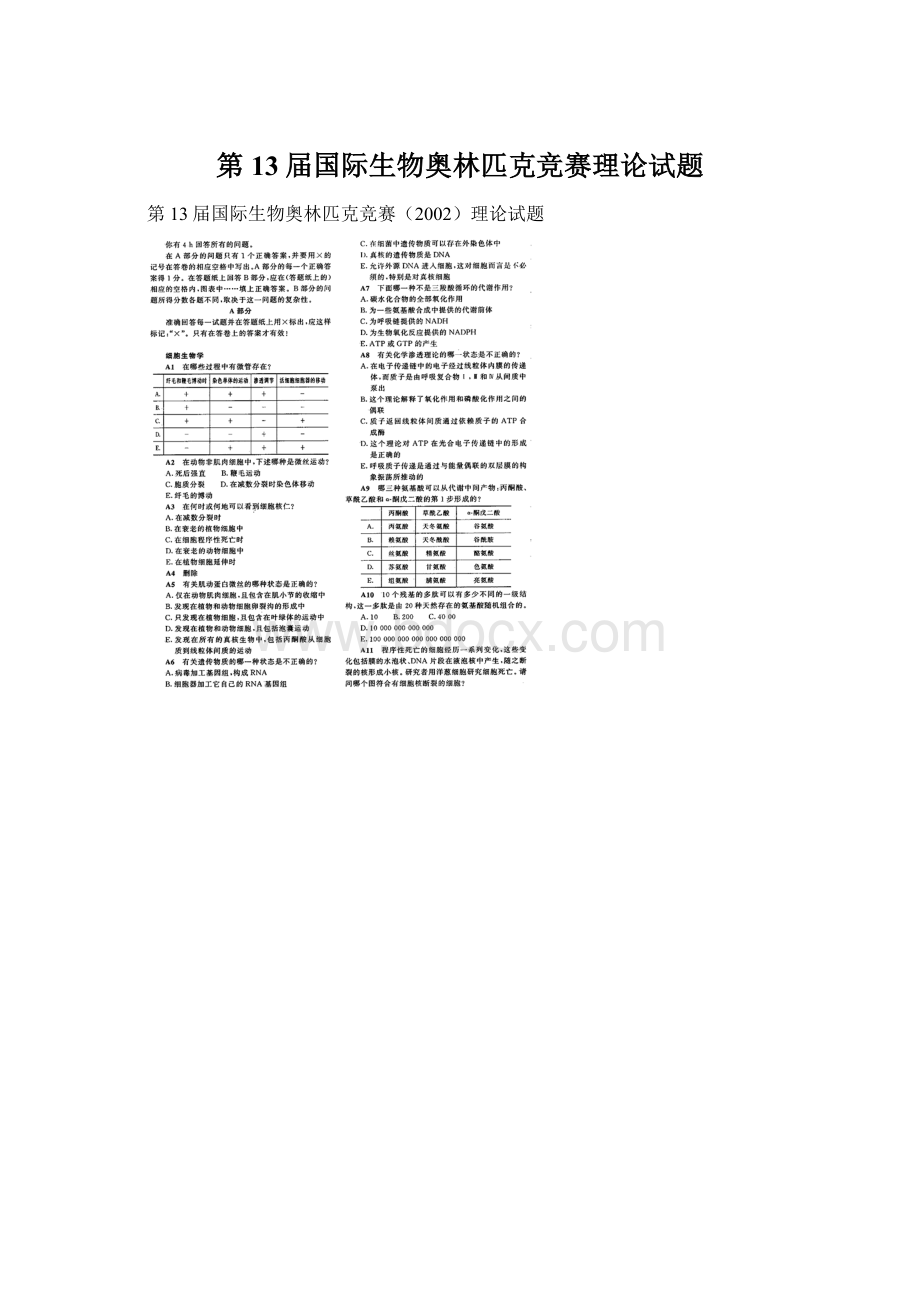 第13届国际生物奥林匹克竞赛理论试题文档格式.docx