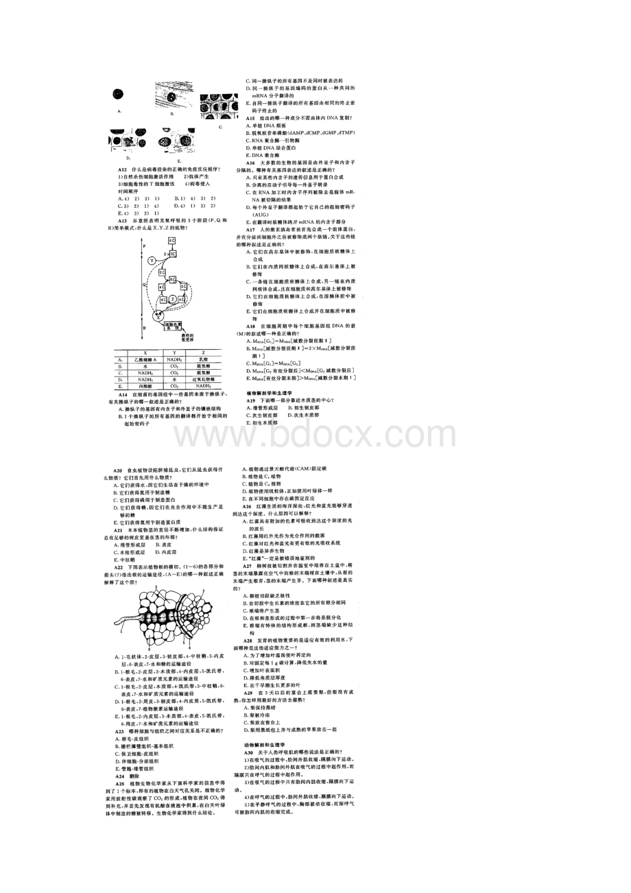 第13届国际生物奥林匹克竞赛理论试题.docx_第2页