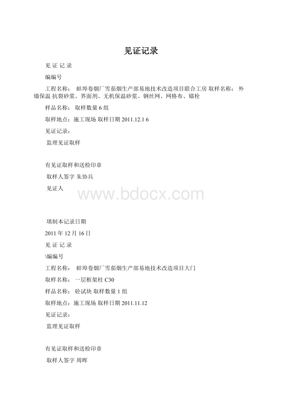 见证记录Word格式.docx