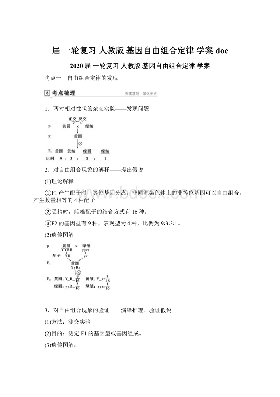 届 一轮复习 人教版 基因自由组合定律 学案doc.docx