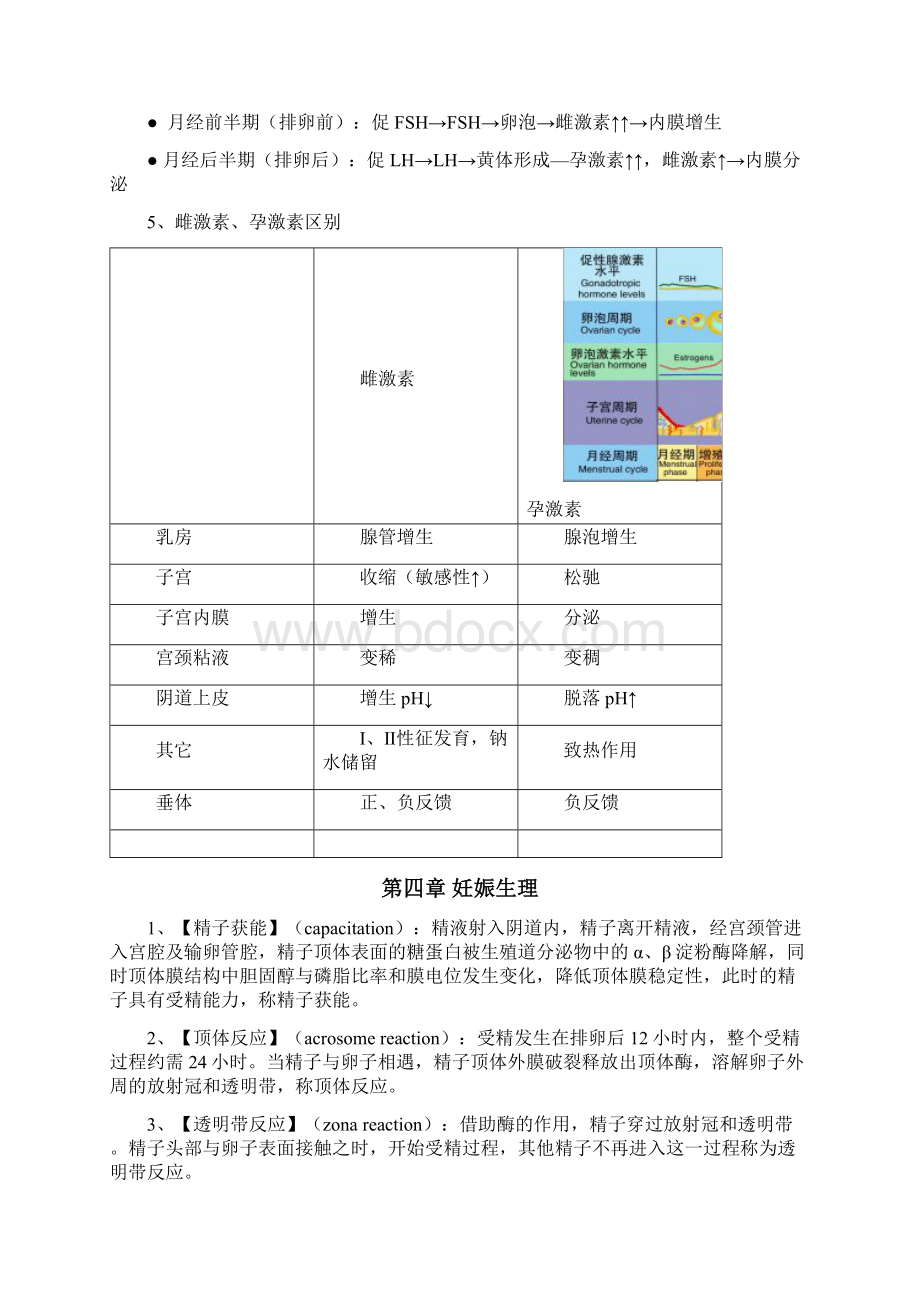 妇产科学知识点总结Word文档格式.docx_第3页