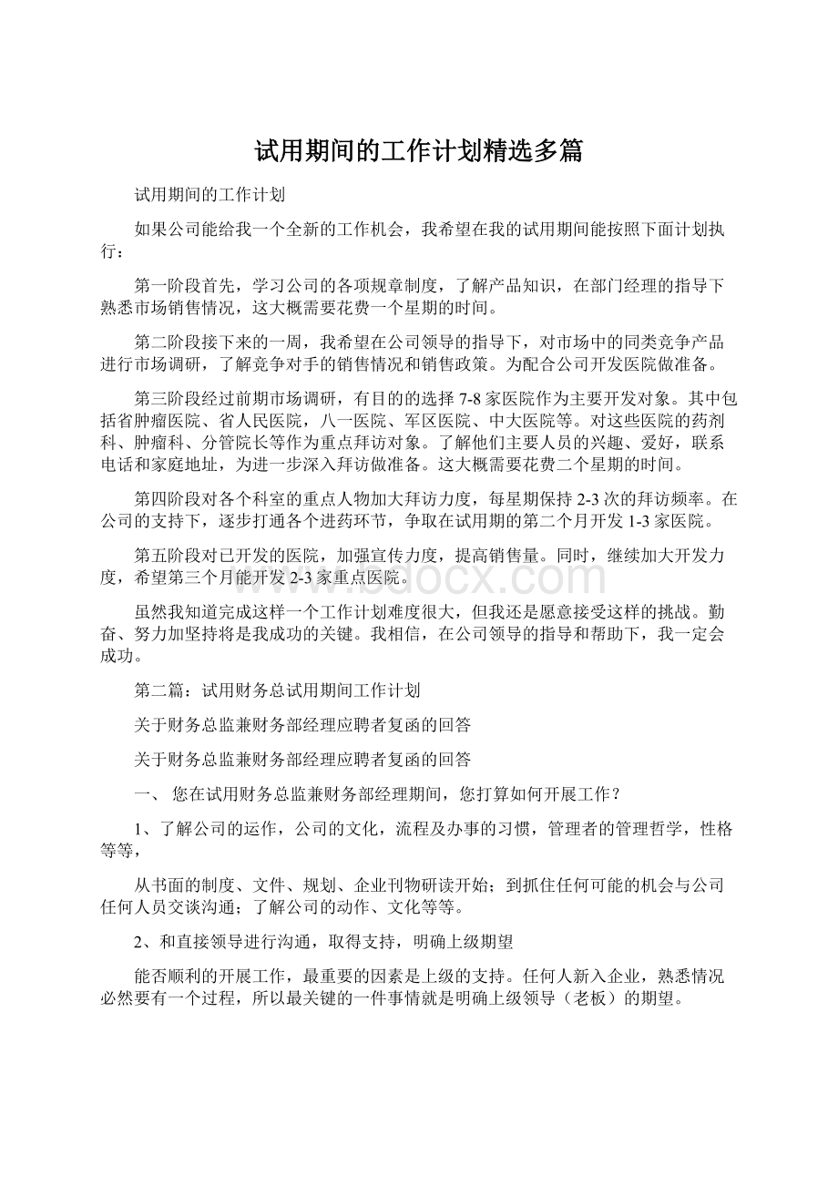 试用期间的工作计划精选多篇Word格式.docx_第1页