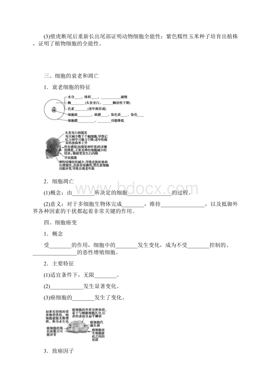 云南德宏州梁河届高三生物一轮复习细胞的分化学案Word文档下载推荐.docx_第2页