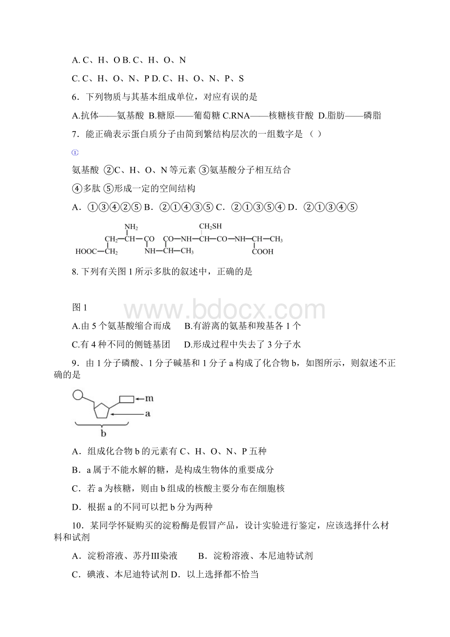 北京市第六十六中学学年高二上学期期中考试生物试题.docx_第2页