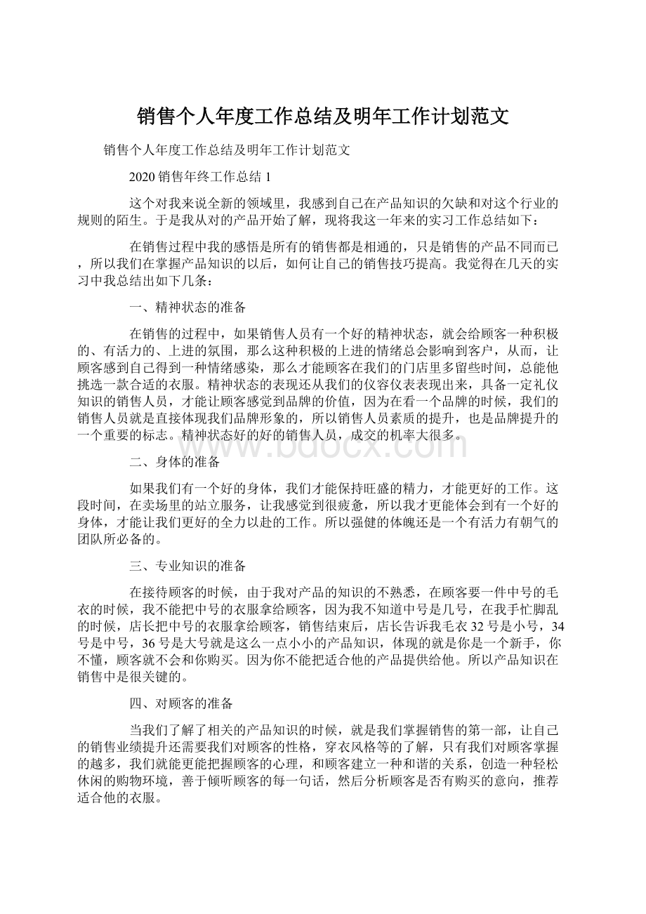 销售个人年度工作总结及明年工作计划范文文档格式.docx_第1页