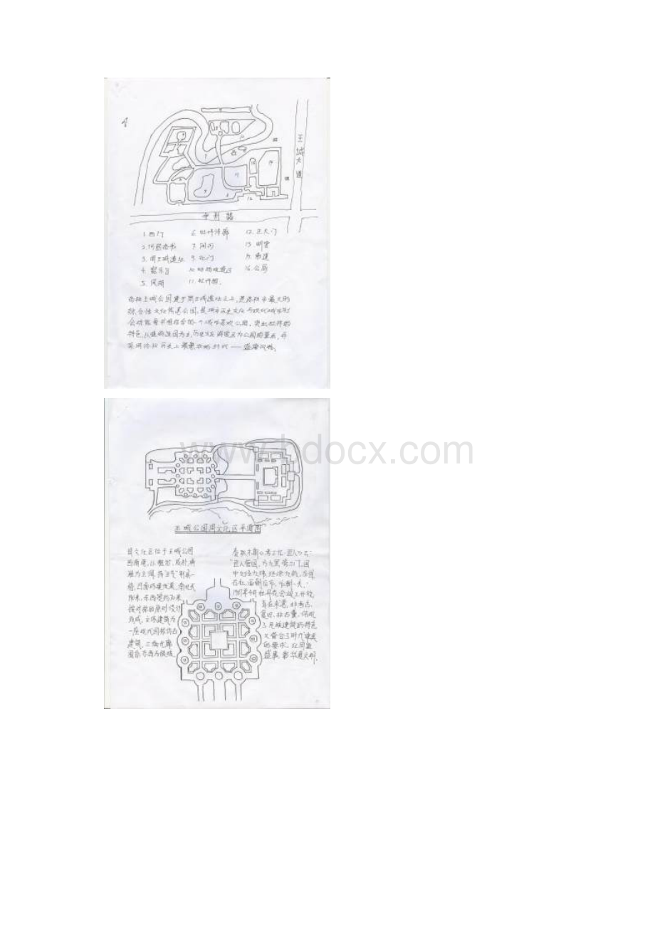 有手绘哦 洛阳实习报告 洛浦公园白园 王城公园Word文档下载推荐.docx_第3页