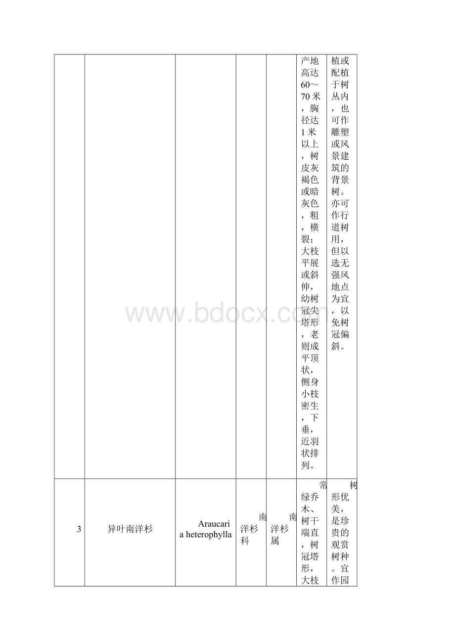 厦门园林植物园植物名录最终版讲解Word文档下载推荐.docx_第3页