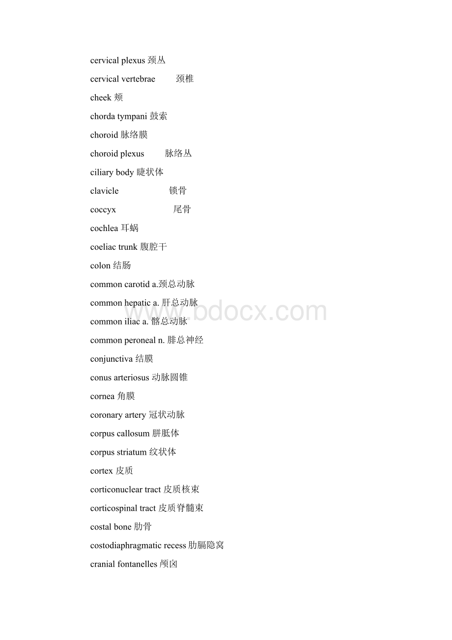 解剖学词汇英汉对照Word格式文档下载.docx_第3页
