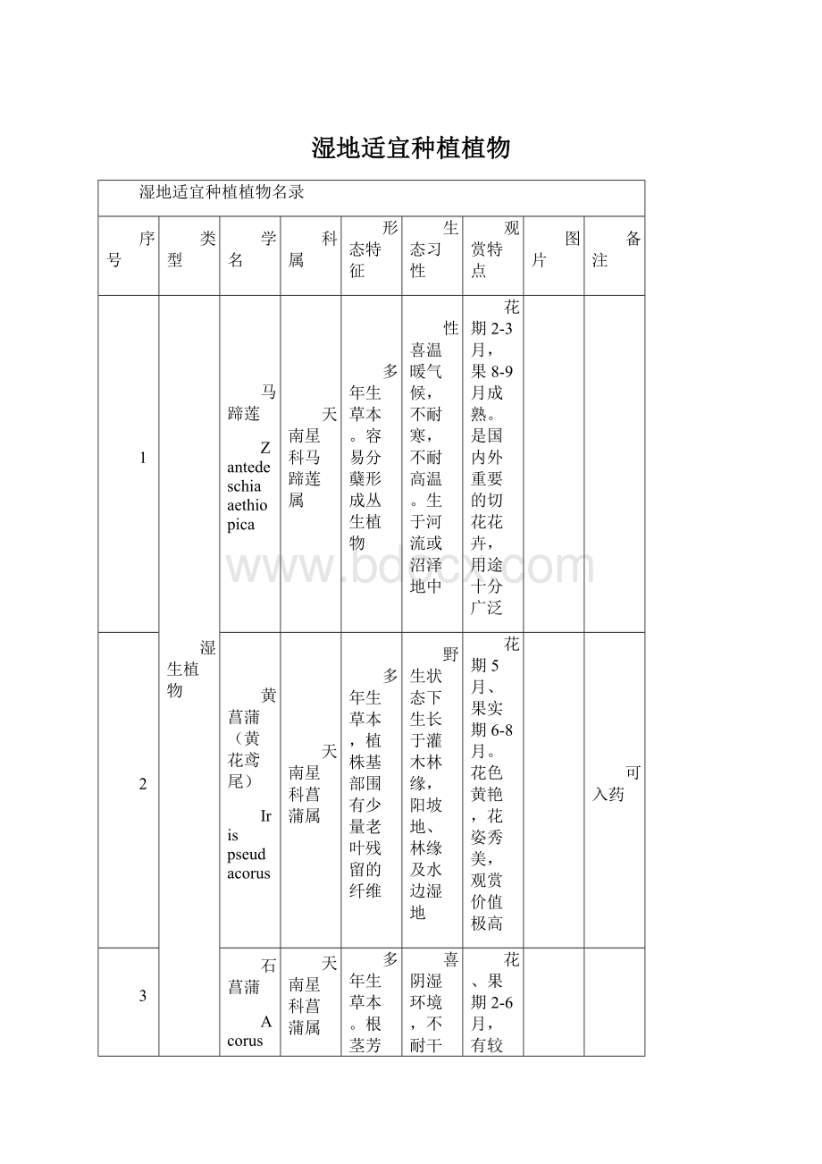 湿地适宜种植植物Word文档下载推荐.docx