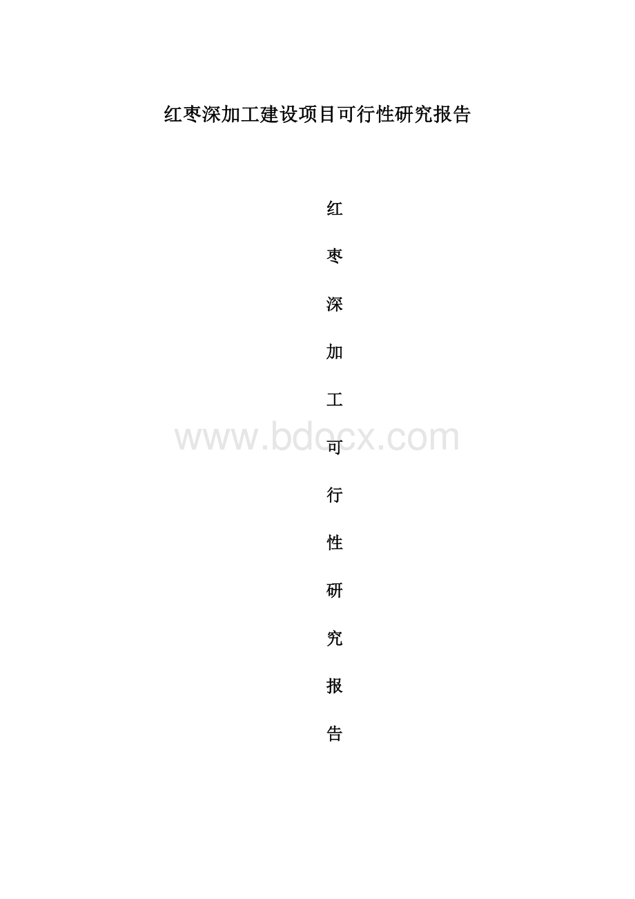 红枣深加工建设项目可行性研究报告Word文档下载推荐.docx