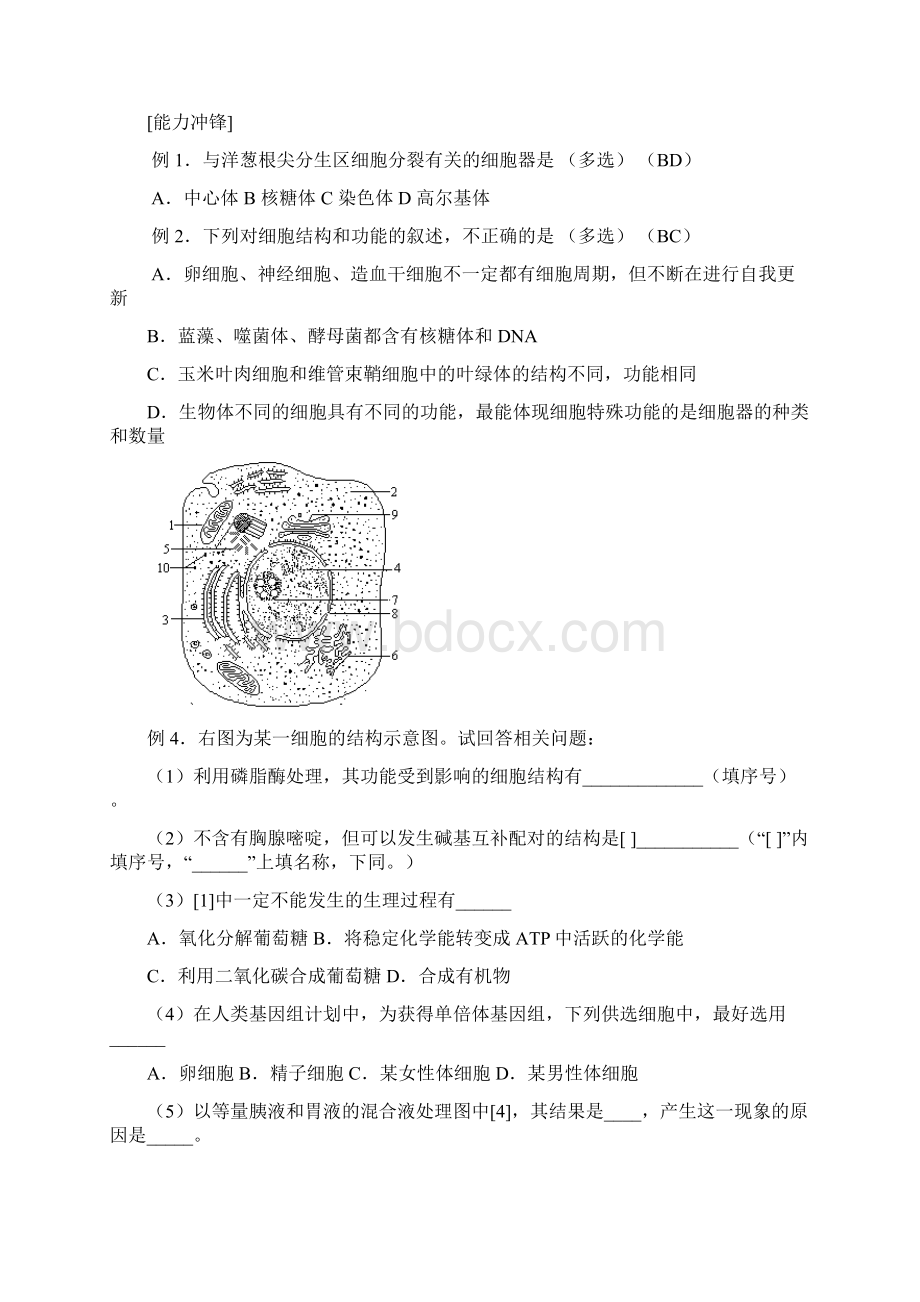 高考生物重要考点总结.docx_第3页