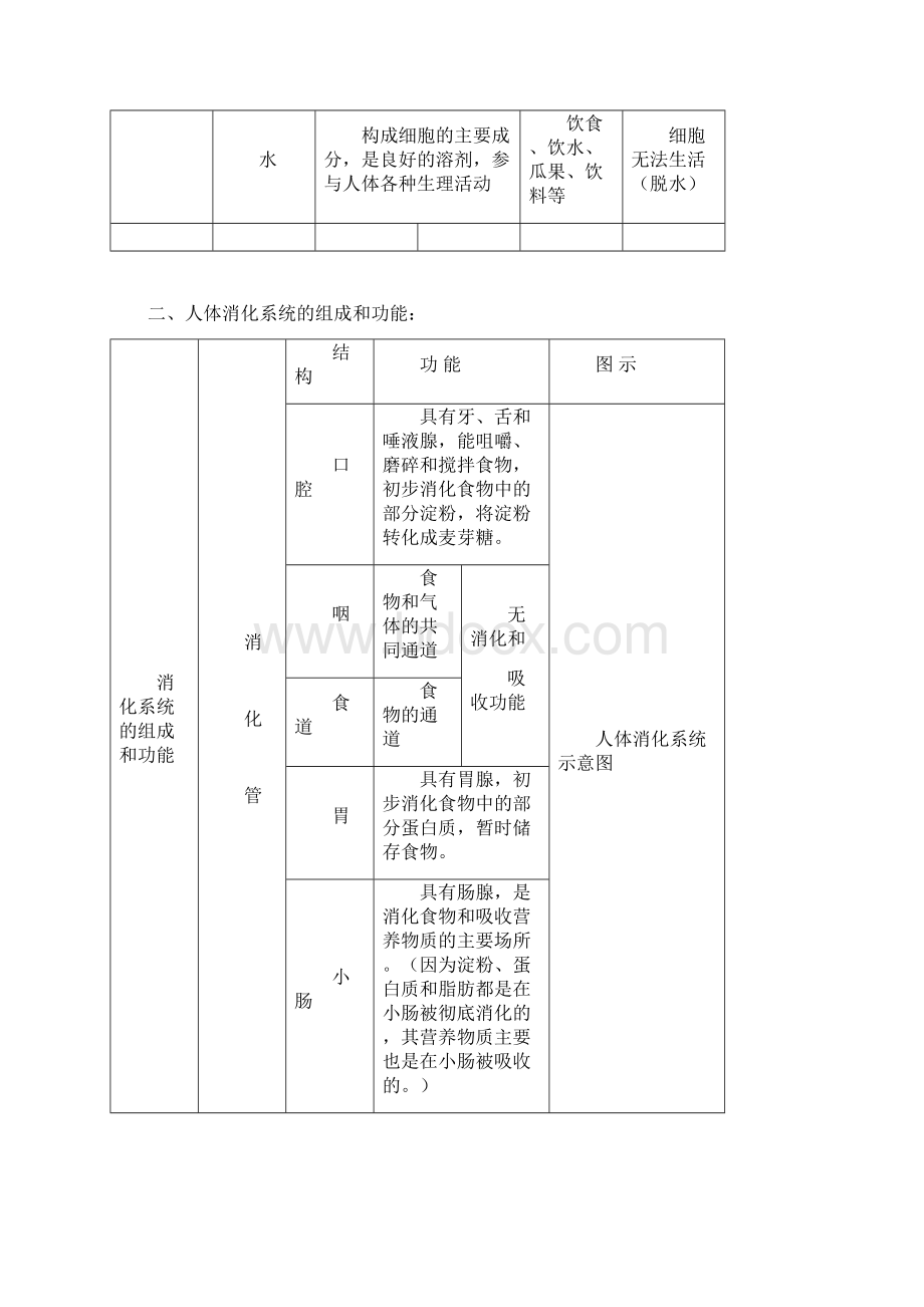 中考生物3A第四讲知识框架生物圈中的人知识点Word文档下载推荐.docx_第3页