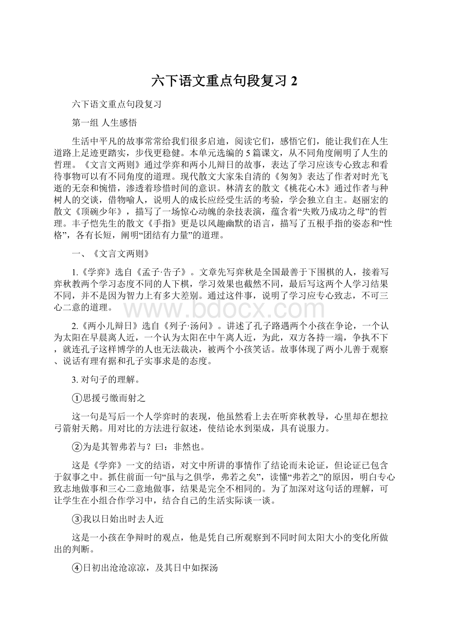 六下语文重点句段复习 2.docx