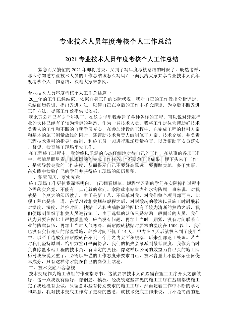 专业技术人员年度考核个人工作总结.docx