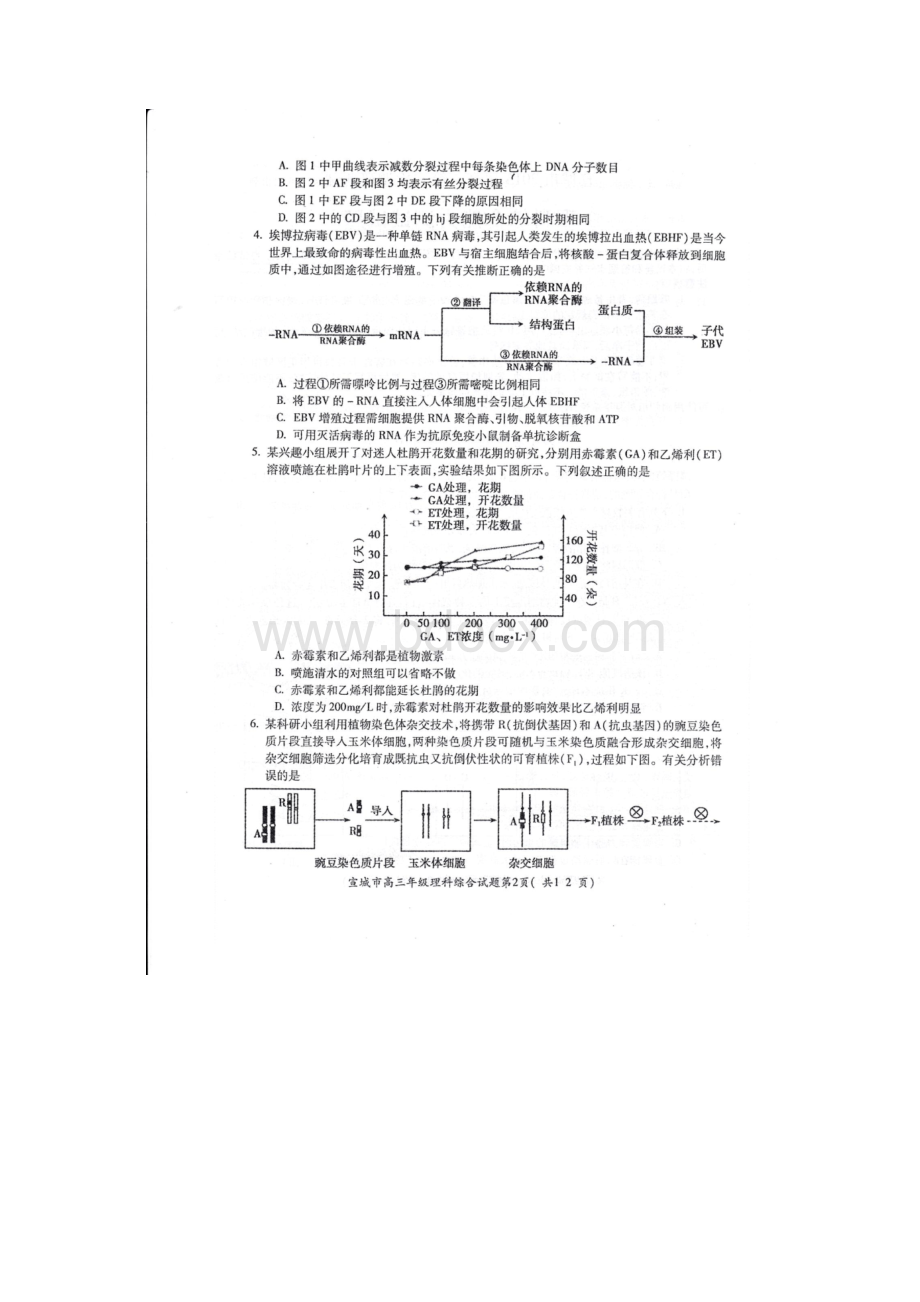 安徽省宣城市届高三第三次教学质量检测理科综合试题扫描版Word文档下载推荐.docx_第2页