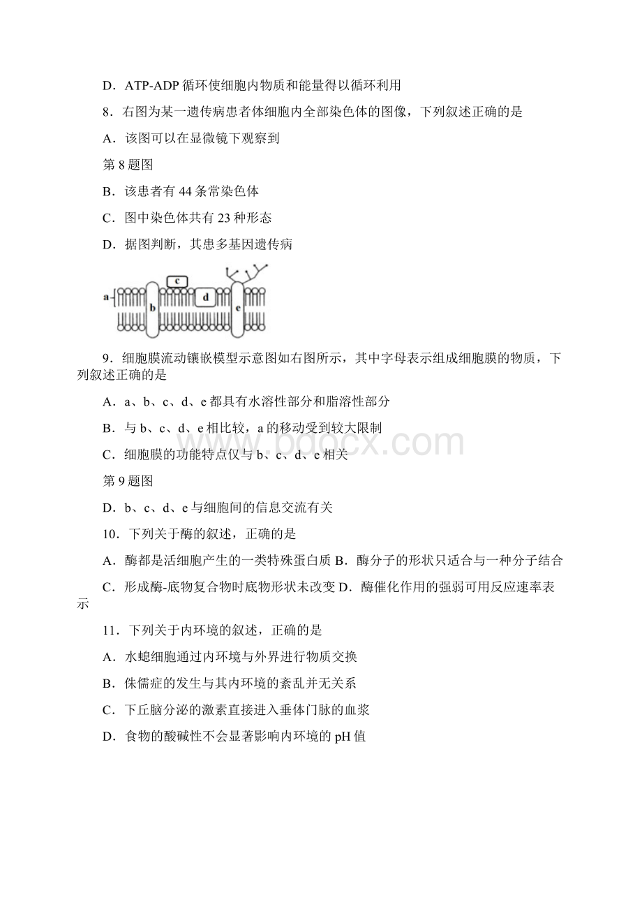 浙江省临海市届高三第四次模拟考试生物试题Word文档格式.docx_第3页