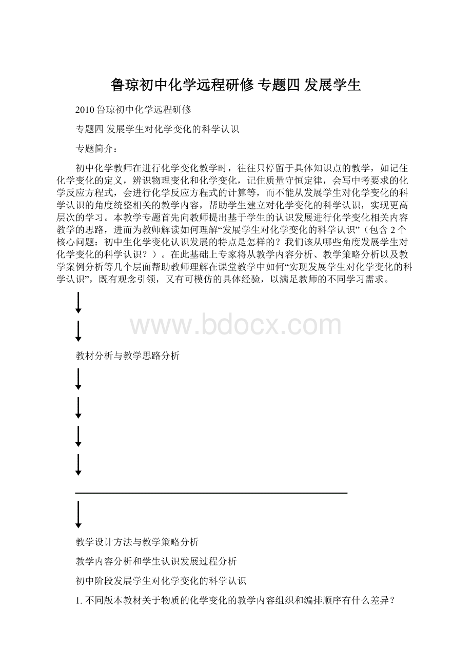 鲁琼初中化学远程研修 专题四 发展学生Word文件下载.docx_第1页