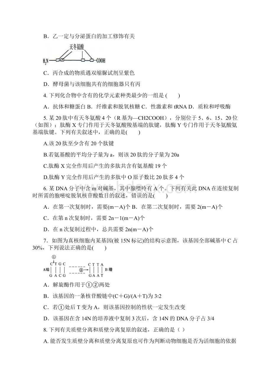 山东省青岛市城阳第一高级中学学年高三上学期期中考试生物试题 Word版含答案.docx_第2页