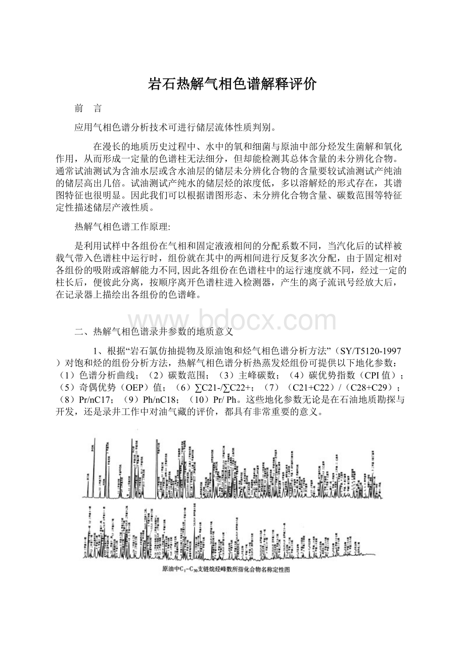 岩石热解气相色谱解释评价文档格式.docx_第1页