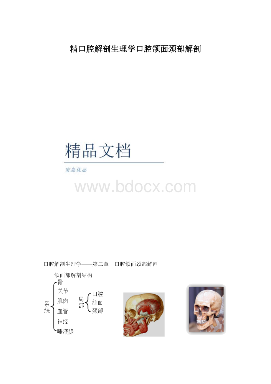 精口腔解剖生理学口腔颌面颈部解剖Word文件下载.docx_第1页