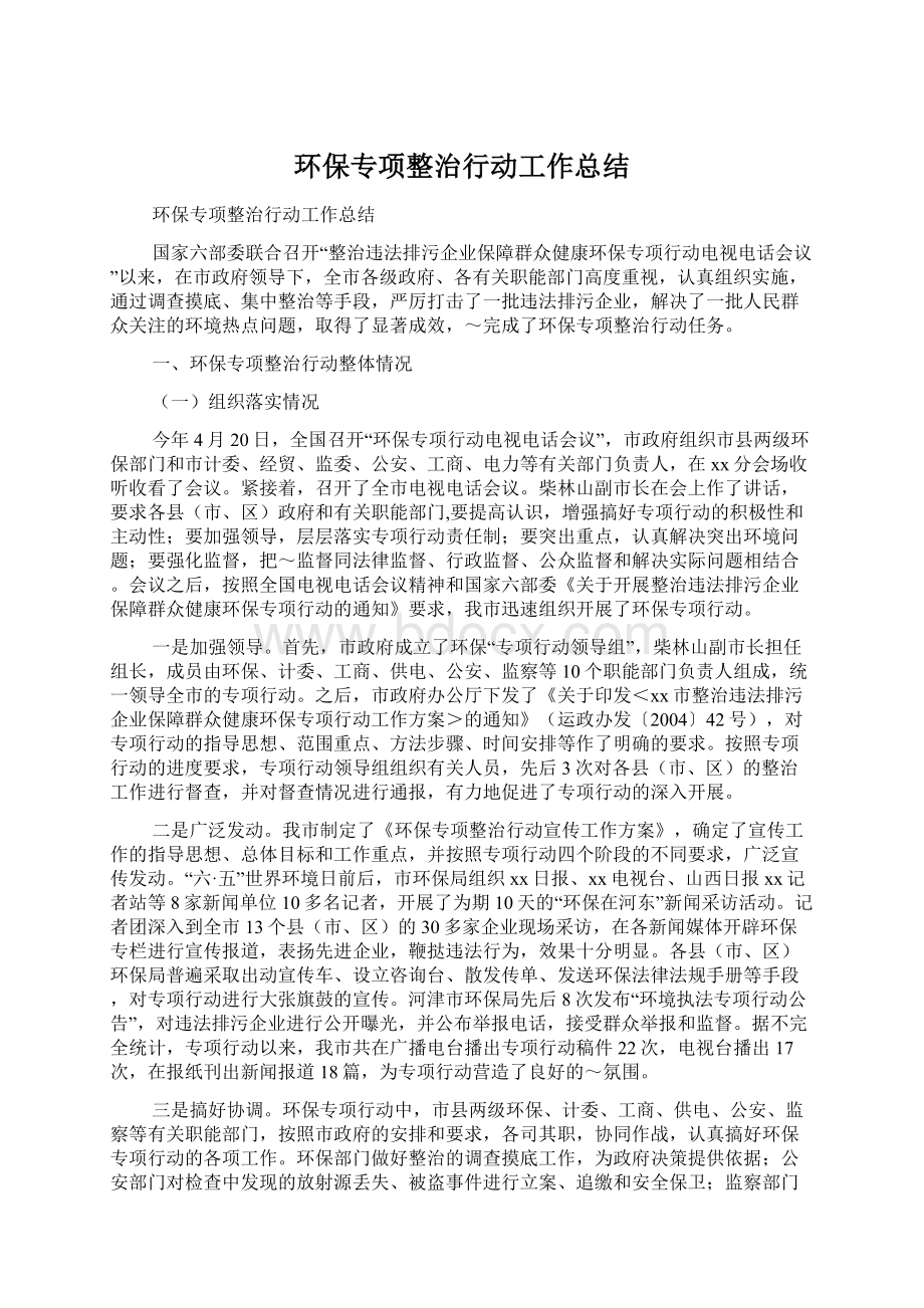 环保专项整治行动工作总结文档格式.docx