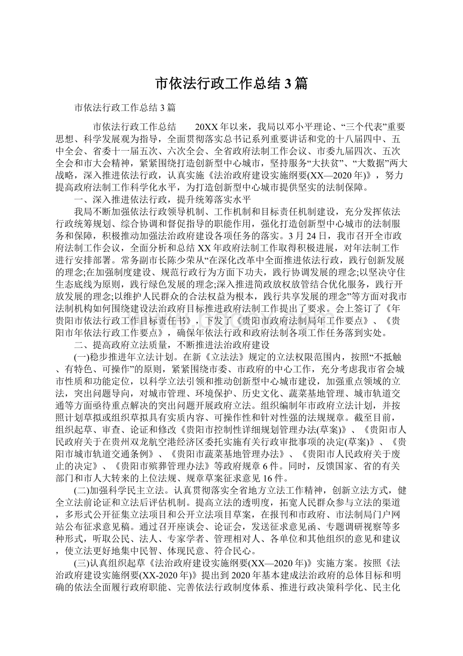 市依法行政工作总结3篇Word格式文档下载.docx