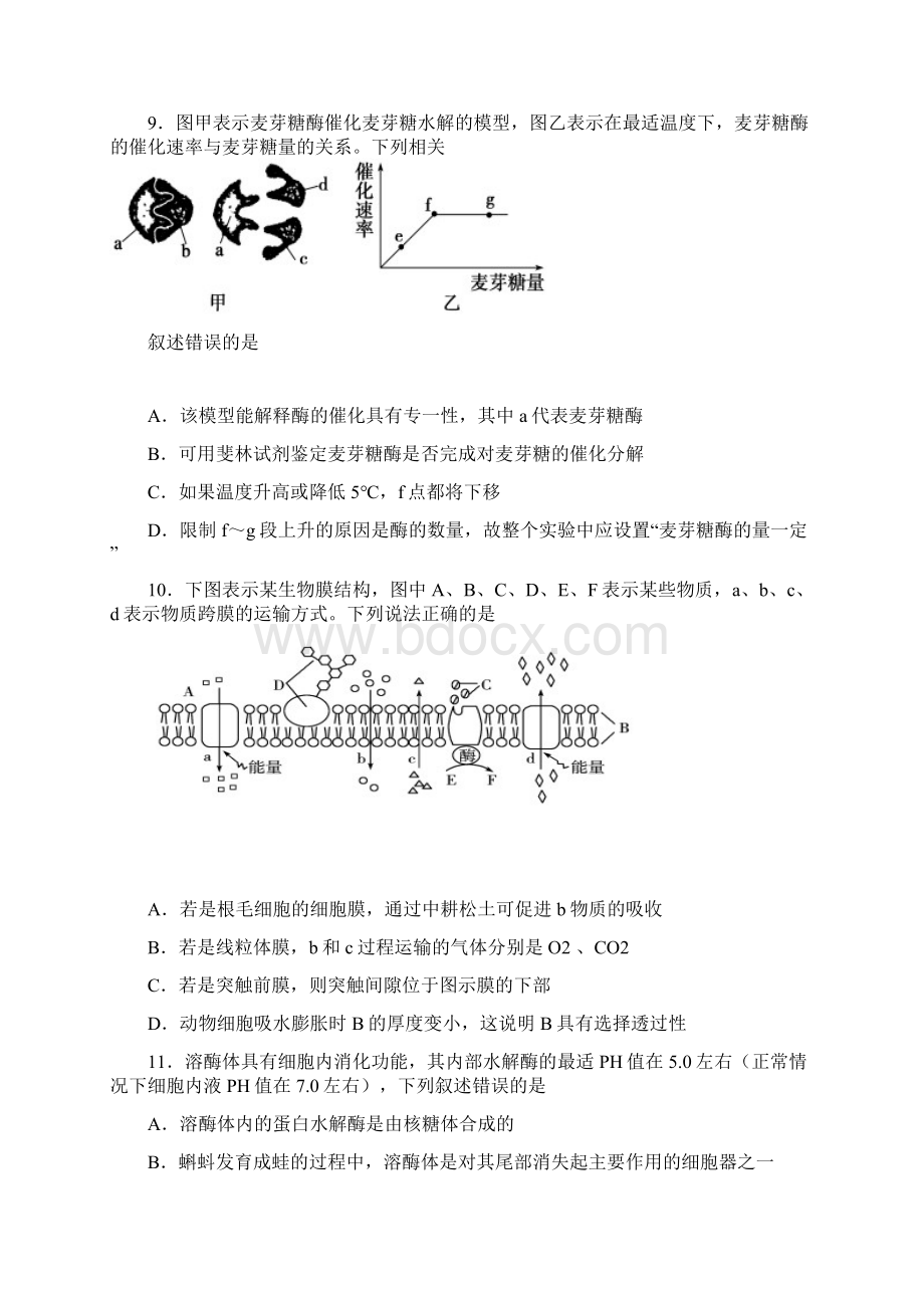 陕西省西安一中届高三上学期二模考试生物.docx_第3页