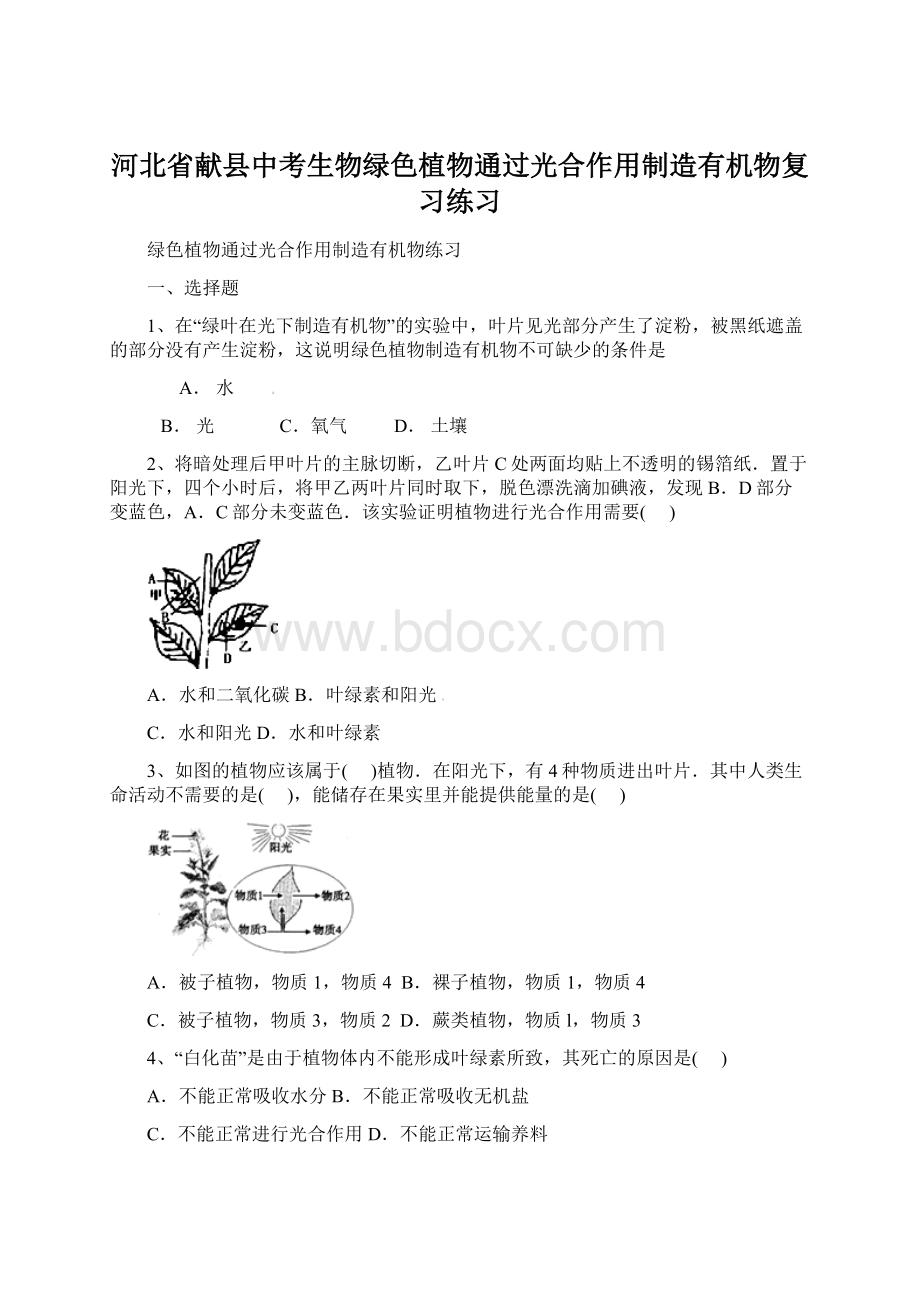 河北省献县中考生物绿色植物通过光合作用制造有机物复习练习.docx