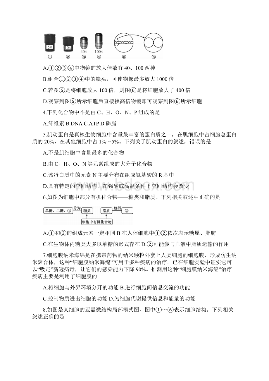 学年河南省九师联盟高一上学期联考试题 生物 Word版.docx_第2页