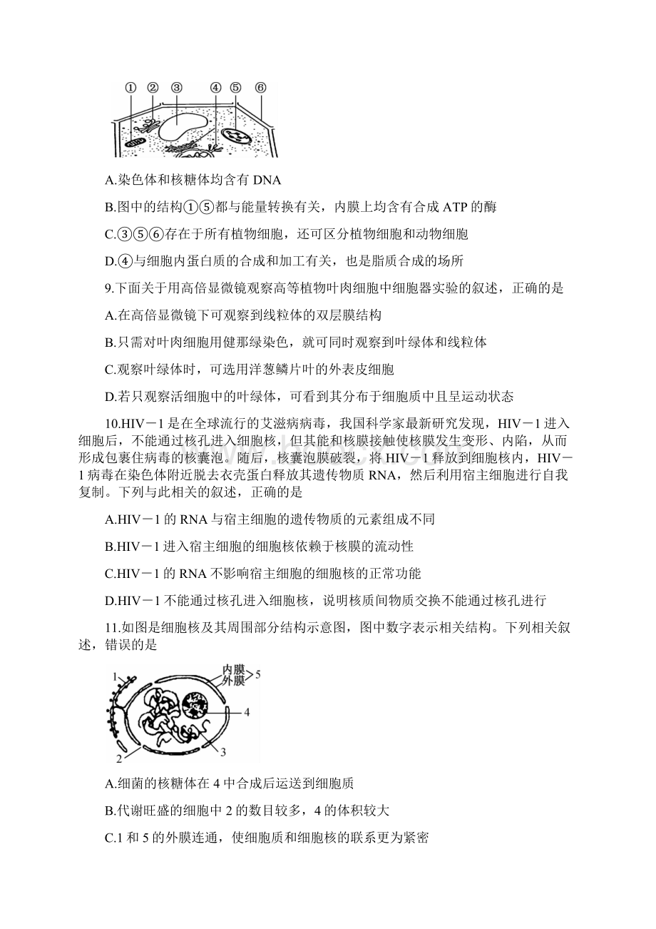 学年河南省九师联盟高一上学期联考试题 生物 Word版.docx_第3页