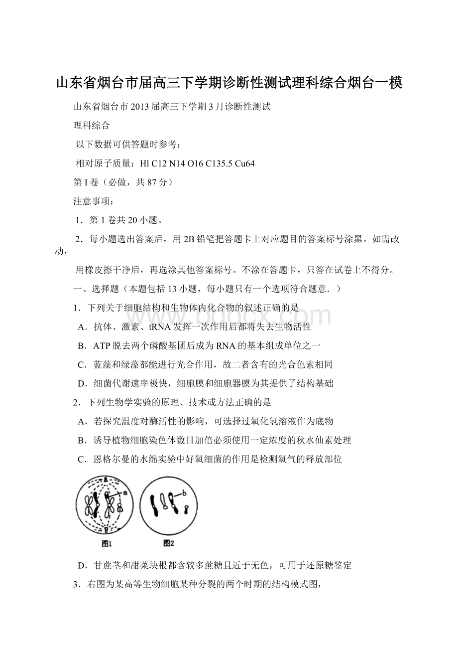 山东省烟台市届高三下学期诊断性测试理科综合烟台一模.docx