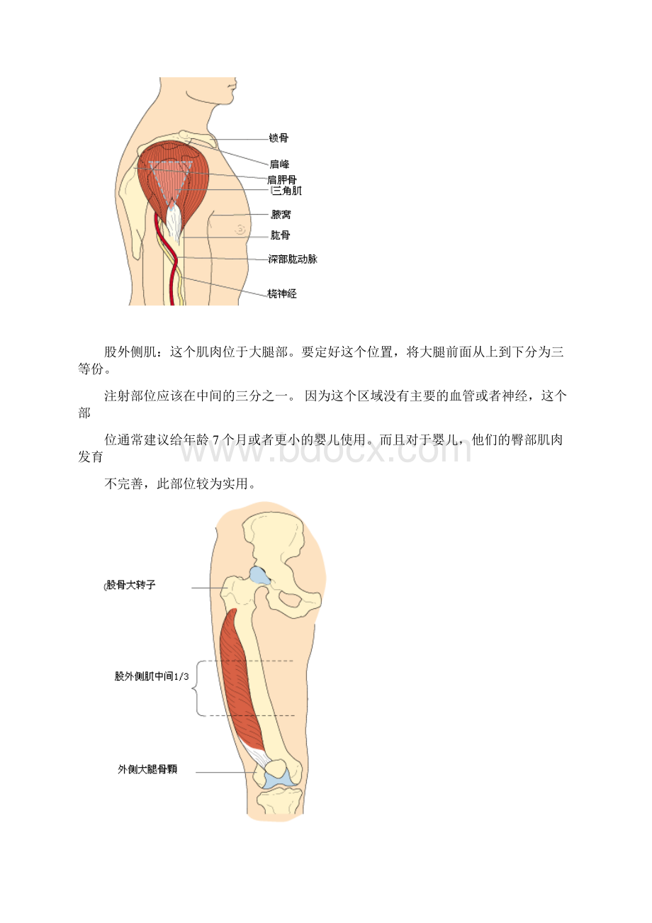 肌肉注射针位置图Word文档下载推荐.docx_第3页