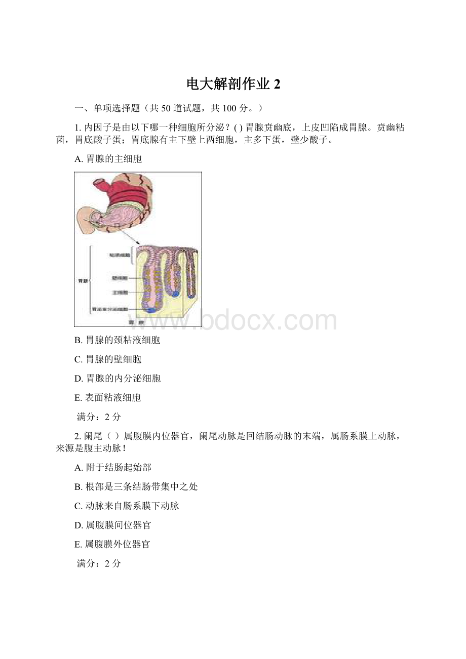 电大解剖作业2文档格式.docx