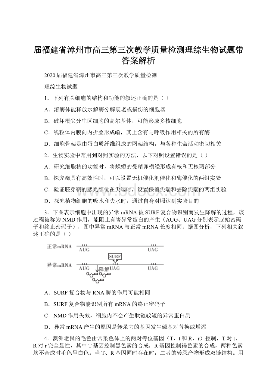 届福建省漳州市高三第三次教学质量检测理综生物试题带答案解析Word格式文档下载.docx